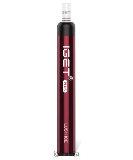 IGET bar discount-велепродаја плус LVJ84B33 IGET бујни лед